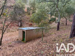 Terreno rústico en Galaroza