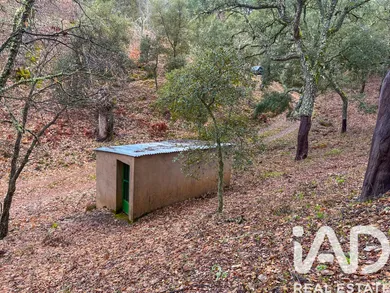 Terreno rústico en Galaroza