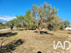 Terrain loisirs à Mont-roig del Camp