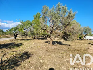 Terrain loisirs à Mont-roig del Camp