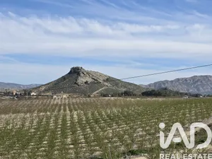 Terrain loisirs à Calasparra
