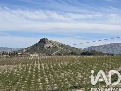 Terrain loisirs à Calasparra