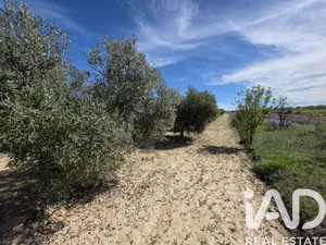 Terrain loisirs à Calasparra