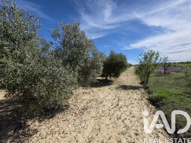 Terrain loisirs à Calasparra