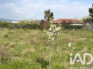 Terreno agricola en Santa Oliva