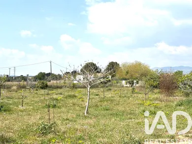 Terreno agricola en Santa Oliva