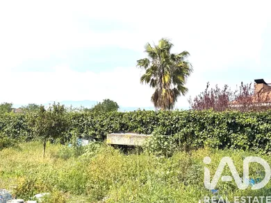 Terreno agricola en Santa Oliva