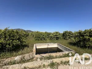 Terreno agricola en Pego