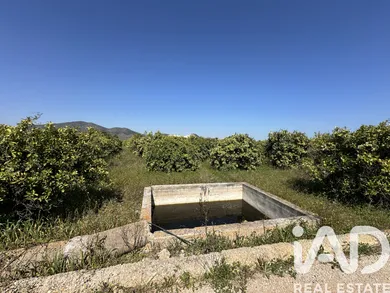 Terreno agricola en Pego