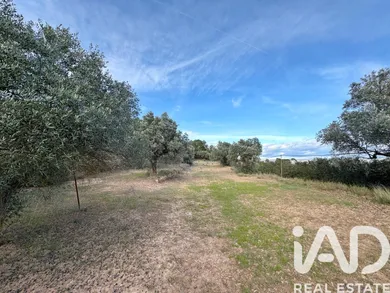 Terrain loisirs à Ascó