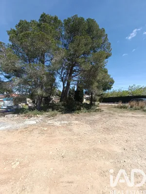 Terreny a L'Ametlla de Mar