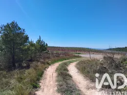Farm land in La Morera del Montsant