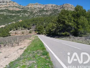 Terreny agrícola a La Morera del Montsant