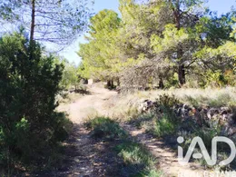 Farm land in La Morera del Montsant