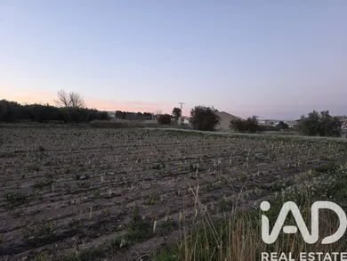 Terreny rústic a Calasparra