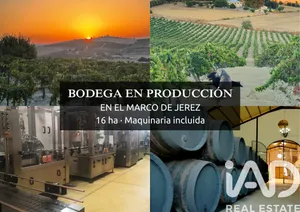 Terreno agricola en Jerez de la Frontera