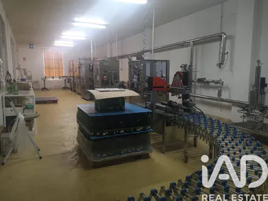 Terreno agricola en Jerez de la Frontera