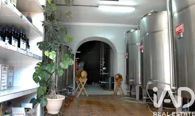 Terreno agricola en Jerez de la Frontera
