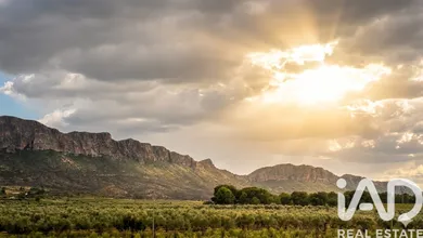 Casa de campo en Jumilla