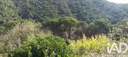 Terreno edificable en Sant Cebrià de Vallalta