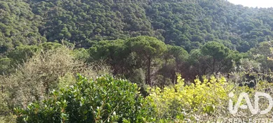 Terreno edificable en Sant Cebrià de Vallalta
