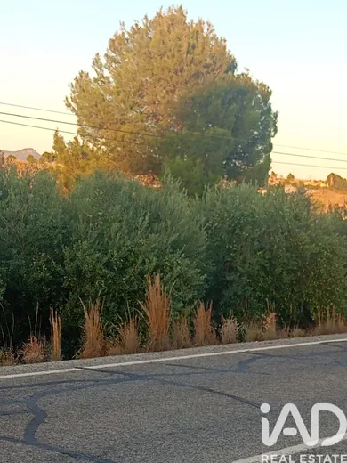 Land in Lorca