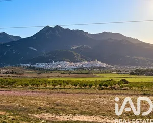 Building plot in Moratalla