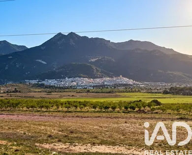 Building plot in Moratalla