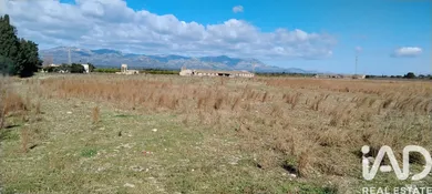 Terreno agricola en Ulldecona