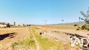 Terreno agricola en Ulldecona