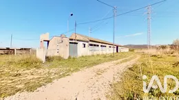 Terrain agricole à Ulldecona