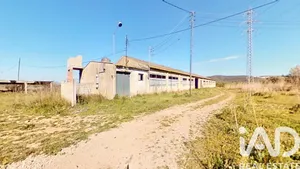 Terreny agrícola a Ulldecona