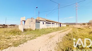 Terreny agrícola a Ulldecona