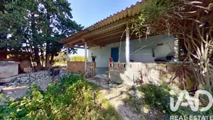Terreny agrícola a Ulldecona