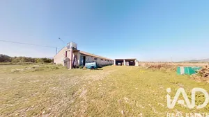 Terrain agricole  à Ulldecona