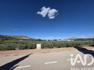 Terreno en Calasparra