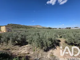 Terreno en Calasparra