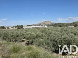 Terreno en Calasparra