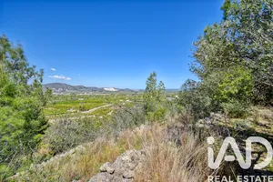 Terreny rústic a Pego