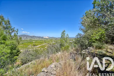 Terreny rústic a Pego