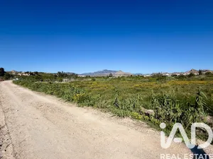 Terreno rústico en Archena