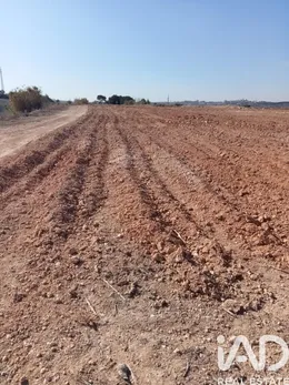 Terrain agricole à Perafort