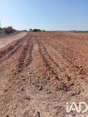 Terrain agricole à Perafort
