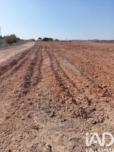 Terreny agrícola a Perafort