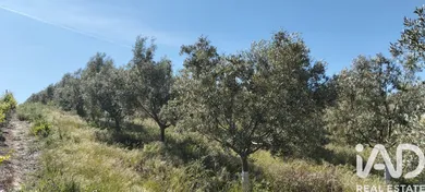 Terreno rústico en Lebrija