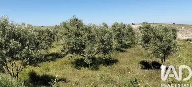 Terreno rústico en Lebrija