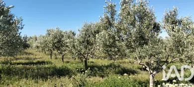Terreny rústic a Lebrija
