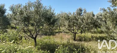 Terrain loisirs à Lebrija