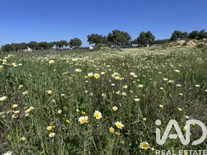 Terreno edificable en Puerto Real