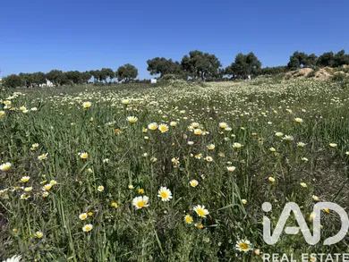 Terreno edificable en Puerto Real